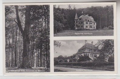 67153 Mehrbild Ak Rohrbrunn im Spessart Eiche, Jagdschloß, Forstamt um 1930