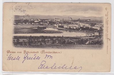 53893 Ak Gruss aus Hohenstadt (Nordmähren) Totalansicht 1899