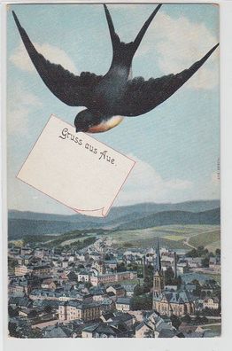 68945 Schwalben Ak Gruß aus Aue Totalansicht um 1910