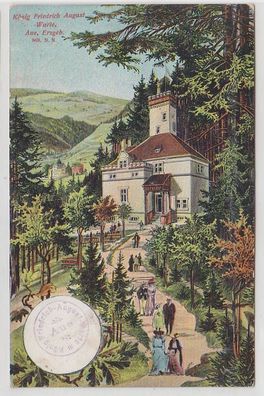 67935 Ak Aue im Erzgebirge König Friedrich August Warte 1910