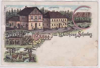 44375 Ak Gruss vom Waldhaus Schneeberg 1901