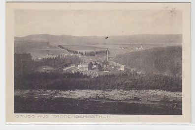 01118 Ak Gruß aus Tannenbergsthal Totalansicht um 1920