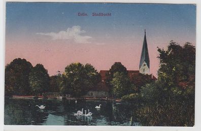 67827 Ak Eutin Stadtbucht mit Schwänen um 1920