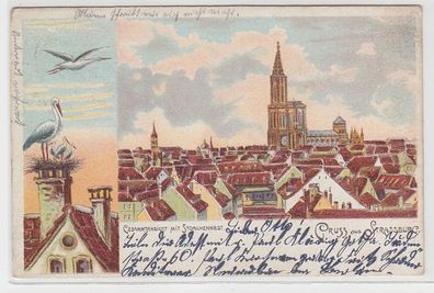 68544 Ak Lithographie Gruß aus Strassburg Gesamtansicht mit Storchennest 1900