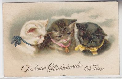 46523 Glückwunsch Ak 3 Katzenkinder mit Halsbändern 1931