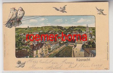 75052 Tauben Präge Ak Küsnacht Totalansicht 1906