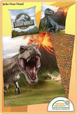 Bettwäsche Jurassic World Dinos Dinosaurier TRex Reißverschluss Baumwolle