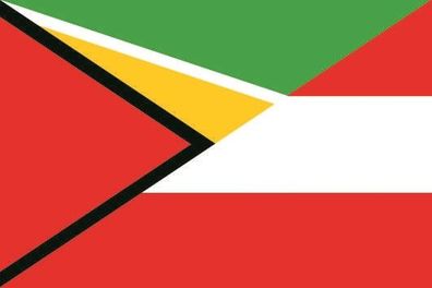 Fahne Flagge Guyana-Österreich Premiumqualität