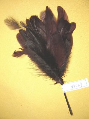 Damenhutfeder Hahnenfedern schwarz bordo 16 cm modische Hutfeder Art62787 Pillbox