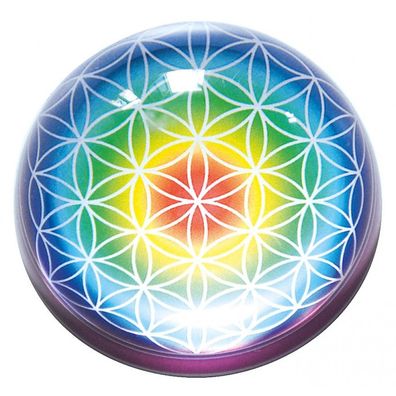 Glas-Halbkugel Briefbeschwerer "Blume des Lebens" Chakra regenbogenfarben 10 cm