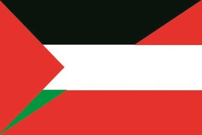 Fahne Flagge Palästina-Österreich Premiumqualität