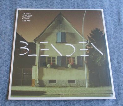 Blenden - In den Wirren der Nacht Vinyl LP farbig