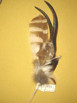 Trachtenhutfeder Fasanfedern braun beige Hahn grün braun Hutschmuck 20 cm Nr 63028