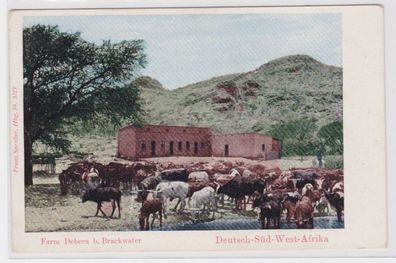99046 Ak DSWA Deutsch Süd West Afrika Namibia Farm Debera bei Brackwater um 1910