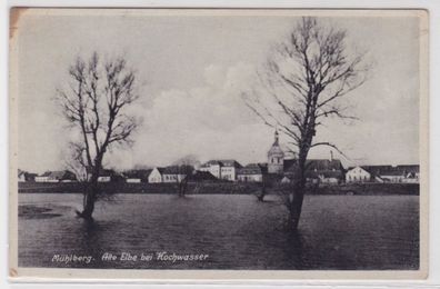 20269 Ak Mühlberg (Elbe) alte Elbe bei Hochwasser um 1940