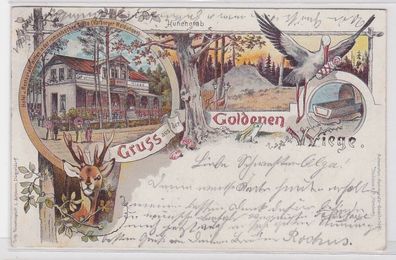 88940 Ak Lithographie Gruß aus der goldenen Wiege Harburg 1896