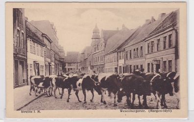 75514 Ak Strelitz i.M. Wesenbergerstrasse (Morgen Idyll) um 1930