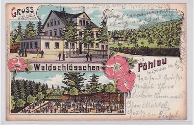 90711 Ak Lithographie Gruß aus dem Waldschlösschen in Pöhlau bei Zwickau 1912