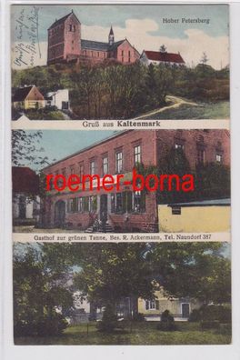 82339 Mehrbild Ak Gruß aus Kaltenmark Gasthof zur grünen Tanne 1928