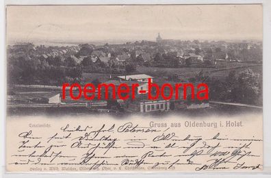 86132 Ak Gruss aus Oldenburg i. Holst. Totalansicht 1899