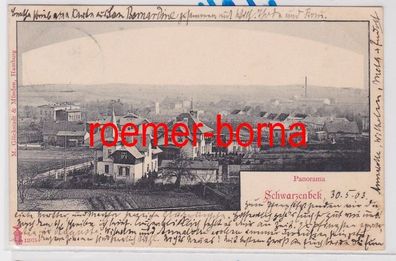 86369 Ak Schwarzenbek Panorama 1903