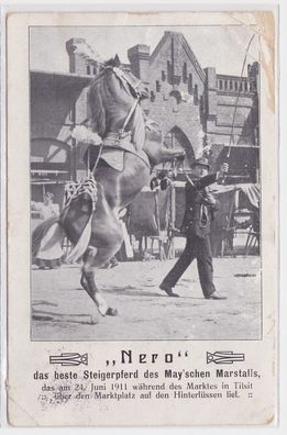 60799Zirkus Ak 'Nero' das beste Steigerpferd des May´schen Marstalls 1912