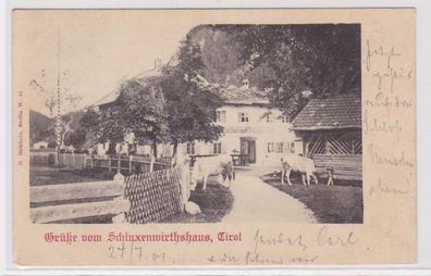 97028 Ak Grüße vom Schluxenwirtshaus Tirol 1901