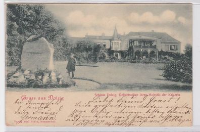 91988 Ak Gruß aus Dolzig Dluzek Geburtsstätte ihrer Majestät der Kaiserin 1899