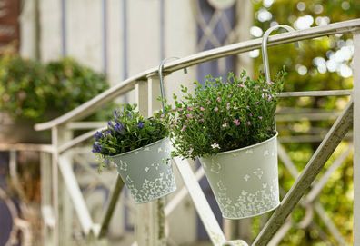 Pflanzenhänger Balkon Hellgrün & Grau Vintage Schmetterlinge - 2 Stück im Set