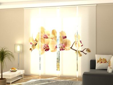 Foto-Schiebegardine Orchidee auf Weiß, Flächenvorhang mit Motiv, Fotodruck, auf Maß