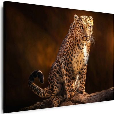 BILDER Leinwand Tiere Leopard Natur Wandbilder Myartstyle Top!