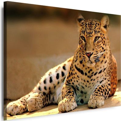 BILDER Leinwand Tiere Leopard Natur Wandbilder Myartstyle Top!!!
