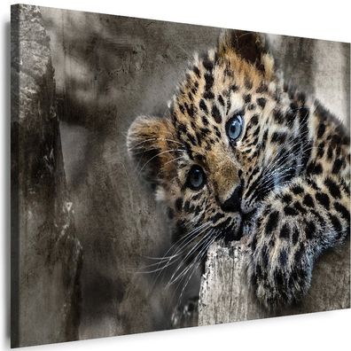BILDER Leinwand Tiere Leopard Natur Wandbilder Myartstyle Top!!