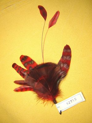 Damenhutfeder rot grüne Hahnenfedern 12 cm modische Hutfeder Art62715 Pillbox