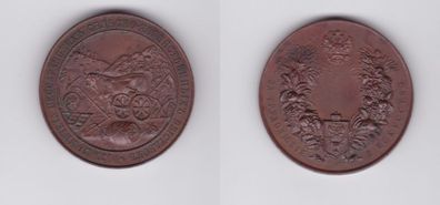 Medaille der Bessarabischen Landwirtschaftsausstellung 1903 in Chisinau (139056)