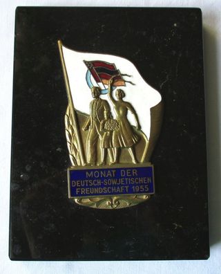 Plakette Deutsch-Sowjetische Freundschaft Monat der DSF 1955 (124865)