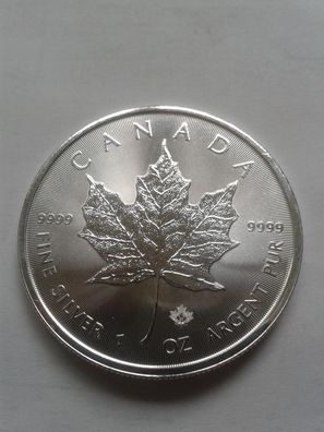 Original 5 Dollars 2021 Kanada Maple leaf 1 Unze 31,1g 9999er Silber bankfrisch