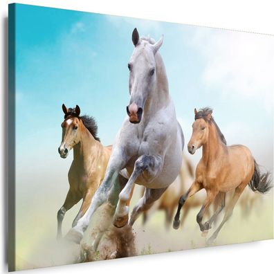 Bilder Leinwand Pferde Natur Tier Galop Wandbilder XXL!