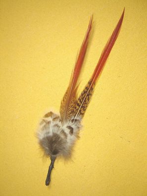 Trachtenhutfeder 2 lange Fasan mit beigem Abschluß Hutschmuck 18 cm Art26-18