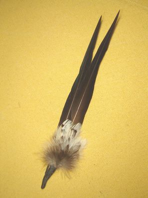 Trachtenhutfeder 2 lange Federn schwarz mit beigem Abschluß Hutschmuck 17 cm Art26-20
