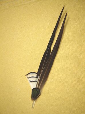 Trachtenhutfeder 2 lange Federn schwarz mit grün Abschluß Hutschmuck 19 cm Art26-21