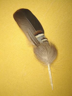 Trachtenhutfeder braun beige mit kl Rehradl Hutschmuck 12 cm Art26-32