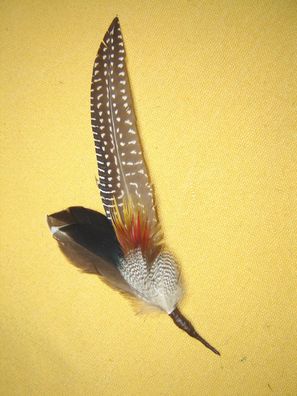 Trachtenhutfeder Perlhuhnfeder mit bunt Hutschmuck 14 cm 26-36