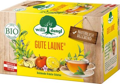 Willi Dungl Bio Gute Laune, belebender Kräuter-Grüntee, Teebeutel im Kuvert