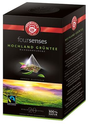 Teekanne foursenses Fairtrade Hochland Grüntee, Pyramidenbeutel