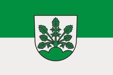 Fahne Flagge Haslach im Kinzigtal Premiumqualität