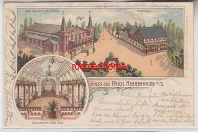 79889 Ak Lithographie Gruss aus Park Herrenhaide bei Burgstädt 1901