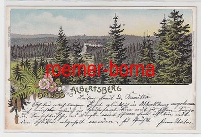 81850 Ak Lithographie Gruss aus Albertsberg 1906