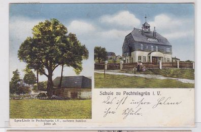 90097 AK Schule zu Pechtelsrün im Vogtland, Lyra-Linde, Bahnpost 1913