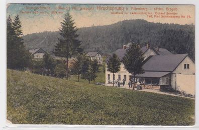 91193 Ak Hirschsprung bei Altenberg im sächsischen Erzgebirge 1913